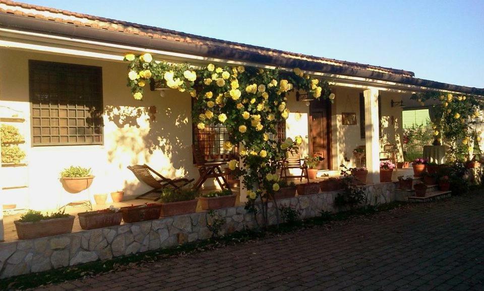 B&B Rolu Formello Luaran gambar